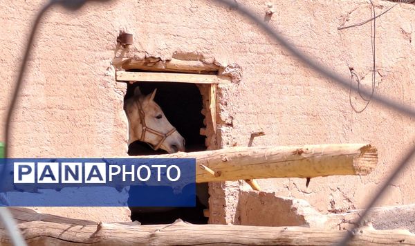 آیین باستانی سیزده بدر در دهکده ی  چوبی نیشابور
