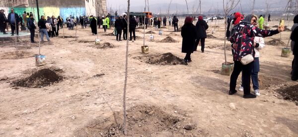 برگزاری مراسم روز درختکاری در شهرک وحدت شهرستان فردیس 