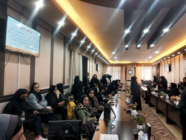 توانمندسازی همیار مشاوران مدارس ناحیه ۳ شیراز