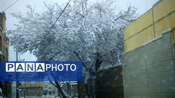 وقتی زمین زیر لحاف سفید برف به خواب میرود