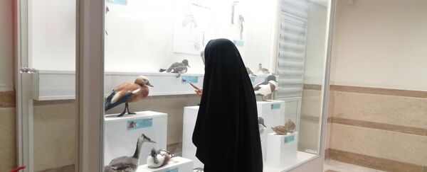 جشنواره «شاد دخت» در قم