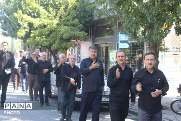 جاماندگان اربعین در ملکان؛ هم‌قدمی با کاروان عشق حسینی