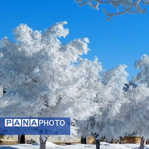 عروس فصل‌ها باری دیگر مهمان شهرستان بن