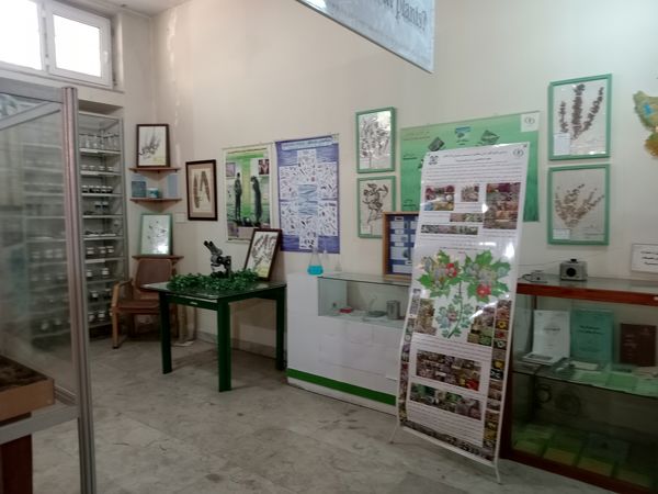 کنجکاوی پانایی ها در کشف اسرار کشاورزی و دامپروری 