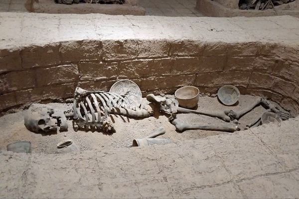 موزه ‌ها؛ میراث‌بانان میراث ملموس جامعه بشری