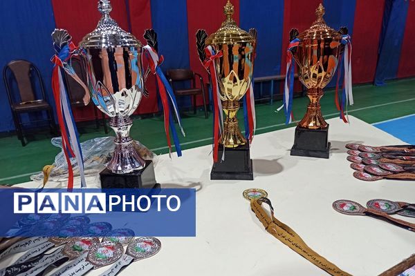 تقدیر از تیم های برتر مسابقات والیبال استانی شهرستانهای تهران در ری یک