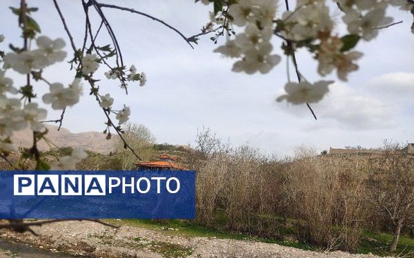 شهر زیبای بار، بهشت نیشابور