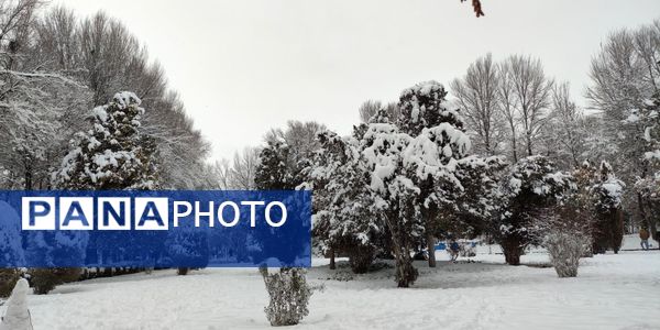 سکوت برفی بروجن، قلب شهر را به تپش انداخت