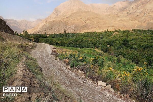 بارش غیر منتظره باران در تابستان ۱۴۰۵شهر بار نیشابور