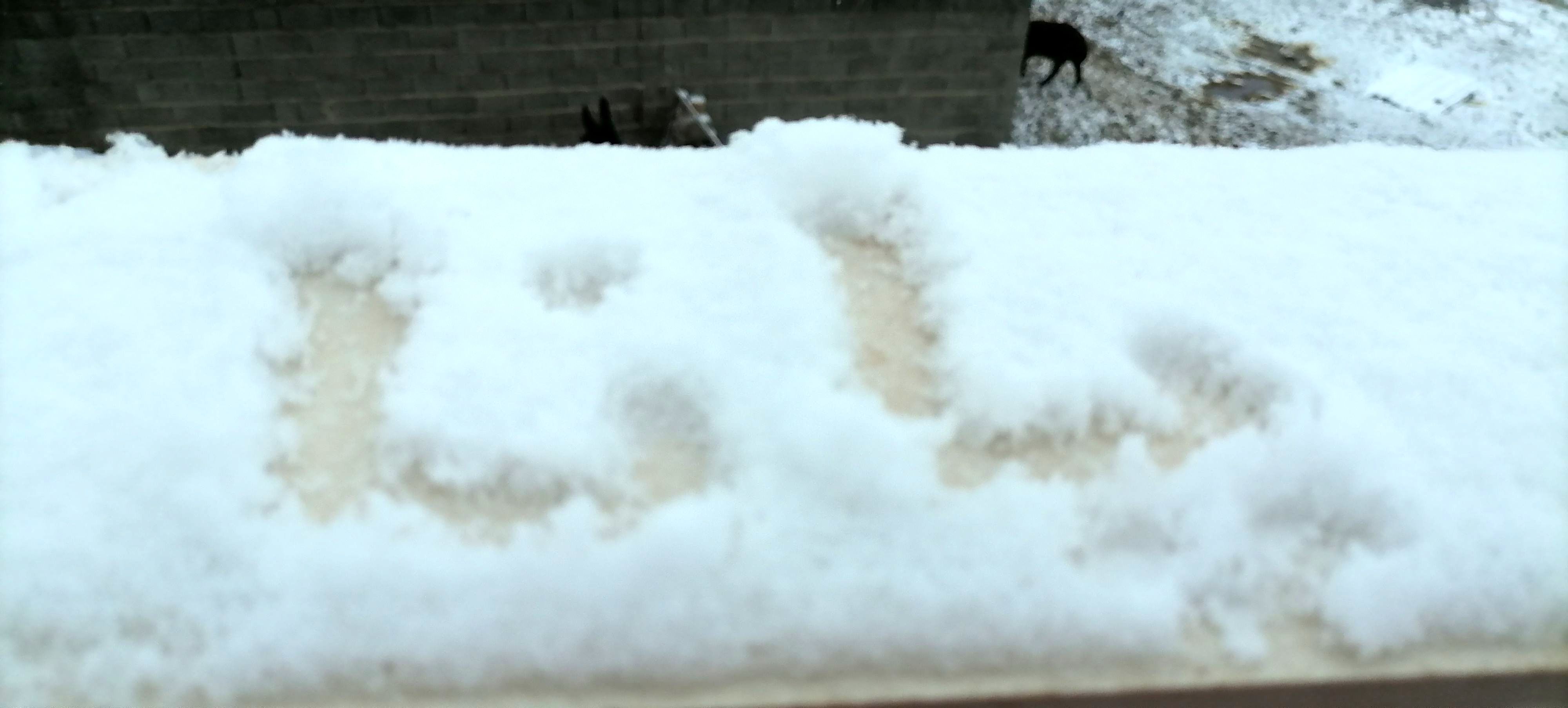 دومین بارش برف پاییزی در شهرزیبای بار نیشابور