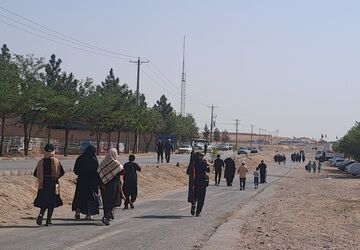گام هایی از جنس عشق به امام رضا (ع) 