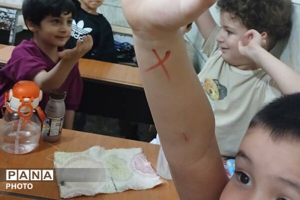 آغاز دوره کوتاه مدت آموزشی ویژه نوآموزان بازمانده از دوره پیش دبستانی در ناحیه دو شهرری 