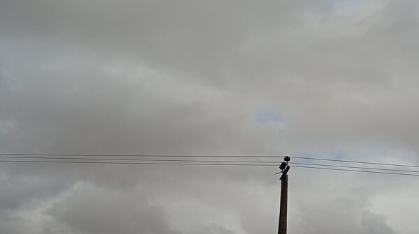 بارش زیبای باران با عطر و بوی بهار در شهرستان بن