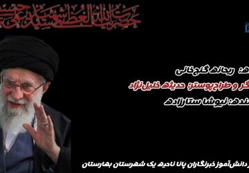 علی در پناهگاه نبود! 