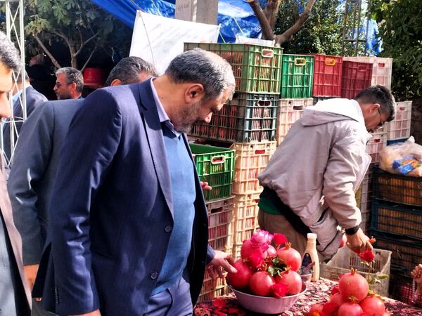 برگزاری جشنواره اناردون در روستای محمودآباد شهرستان فیروزکوه