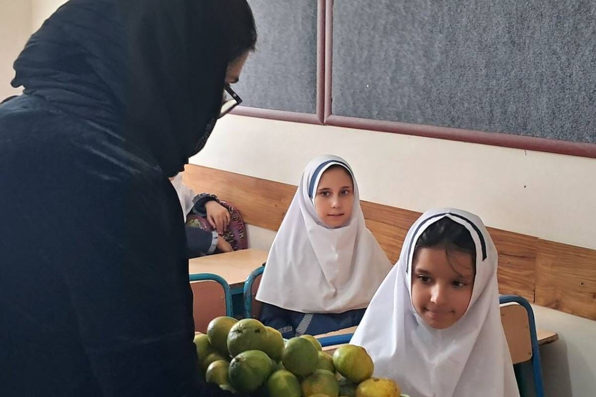 آرامش در دستان پر توان نیروهای امنیت 