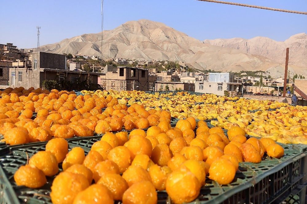 افزایش دو برابری ذخایر میوه شب عید برای کنترل بازار