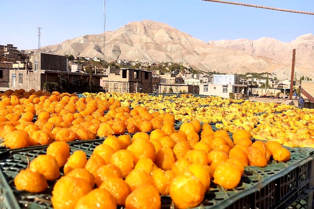 افزایش دو برابری ذخایر میوه شب عید برای کنترل بازار