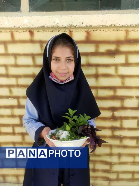 روز جهانی تخم مرغ در نیشابور 