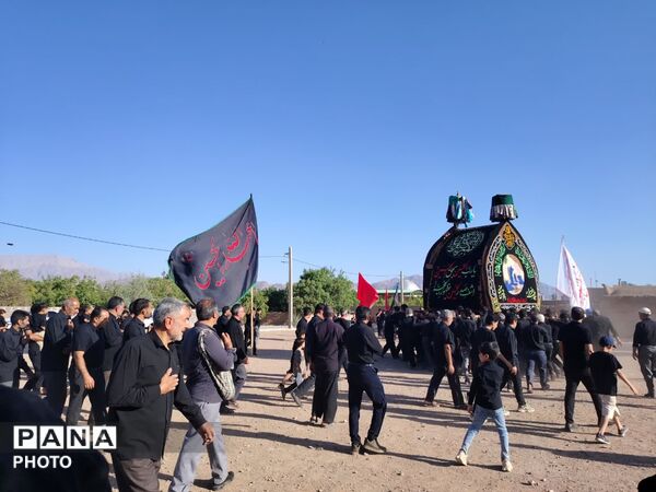 نخل‌برداری روز عاشورا در روستای صالح آباد شهرستان تفت