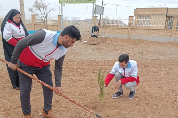 کاشت نهال در  شهر ایزدخواست به‌مناسبت هفته درختکاری