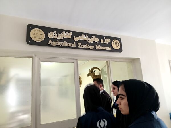 کنجکاوی پانایی ها در کشف اسرار کشاورزی و دامپروری 