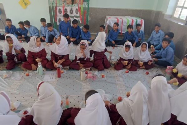 گامی مؤثر برای ترویج تغذیه سالم در میان دانش‌آموزان