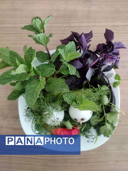 روز جهانی تخم مرغ در نیشابور 