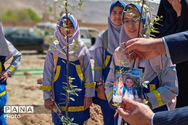 کاشت نهال در اردوگاه شهید سلیمانی منطقه نیر به یاد شهدای مظلوم میناب