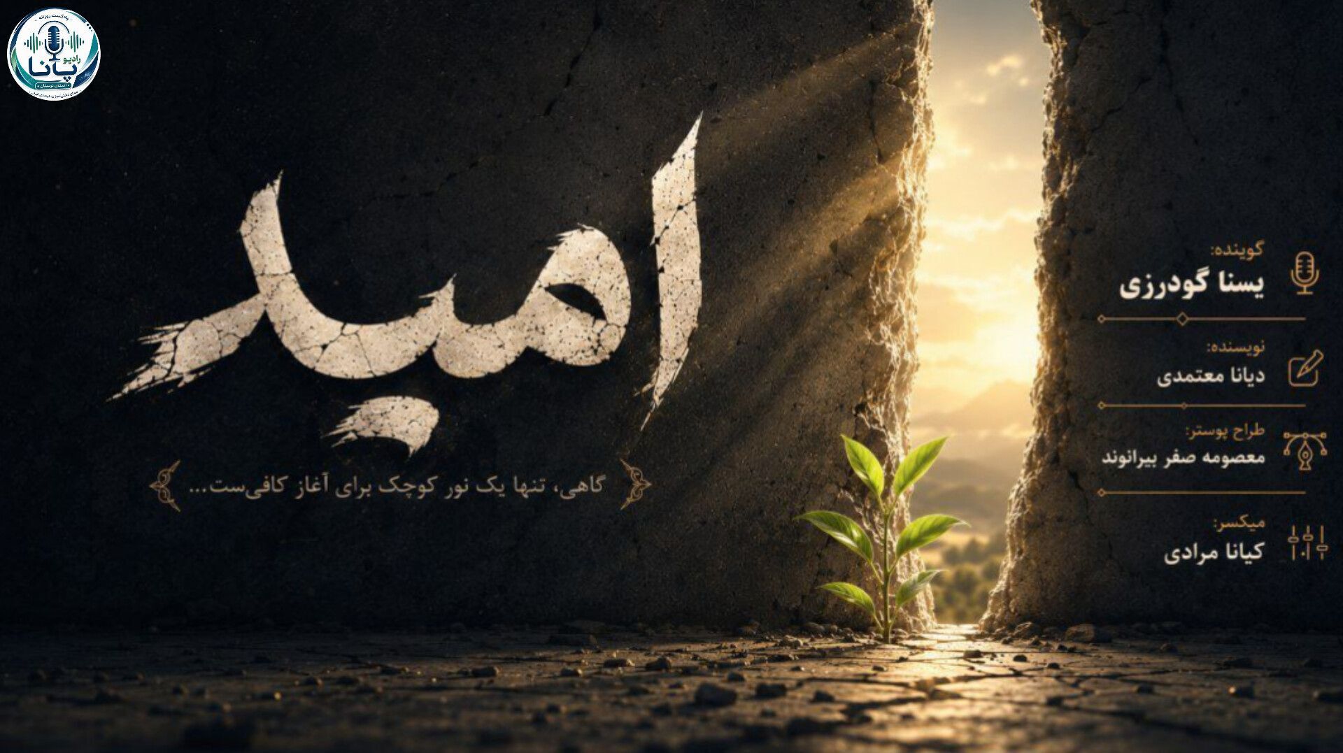رقصِ نور در دلِ تاریکی