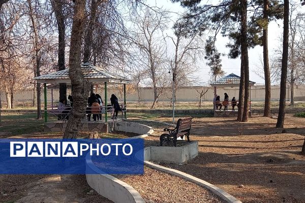 اردوی تشویقی تمشک؛ هدیه‌ای به یاوران انقلاب