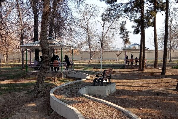اردوی تشویقی تمشک؛ هدیه‌ای به یاوران انقلاب
