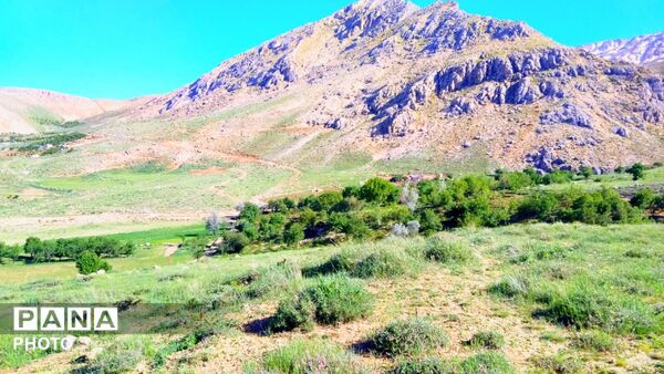 طبیعت دَستَنا؛ جلوه‌ای کم‌نظیر از آرامش و زیبایی در دل چهارمحال و بختیاری