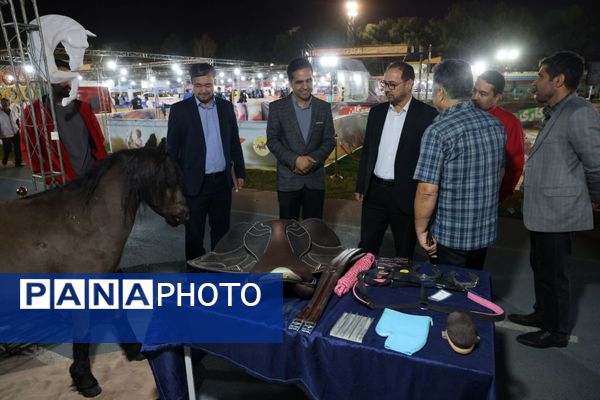 دومین جشنواره خانواده ورزشی در مشهد