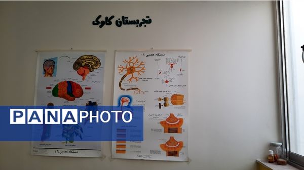 آموزش ماندگار در تجربستان کاوک ناحیه۷ مشهد 