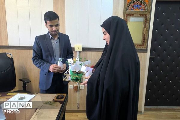 نارنج‌هایی به یاد شهدا؛ هدیه‌ای سبز برای سلامت