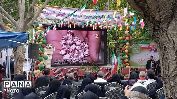 روایت طلای سبز سلسله در قاب سومین جشنواره گردوی کهمان
