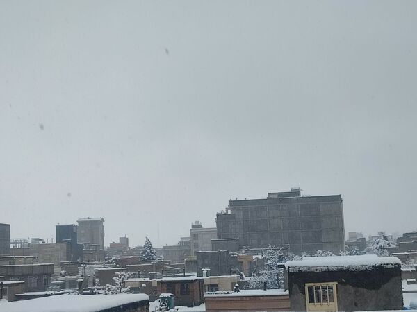 جلوه های زیبا از بارش برف در شهرستان نیشابور 