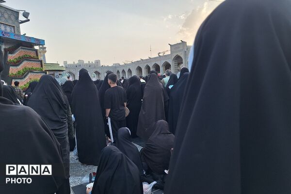 نجوای عاشقانه زائران در روز عرفه؛ مشهد الرضا غرق در زمزمه‌های بندگی