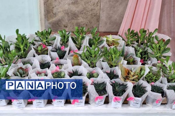 طرح نورانی «هم سجاده با مادر» در دبستان حکمت نبوی ناحیه دو شهرری 