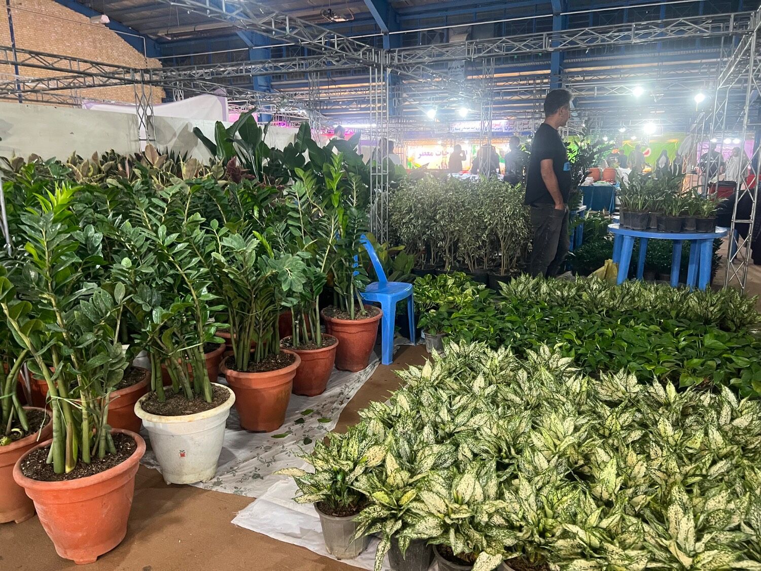 اولین نمایشگاه بهاره گل و گیاه و سوغاتی های محلی در شهرکرد