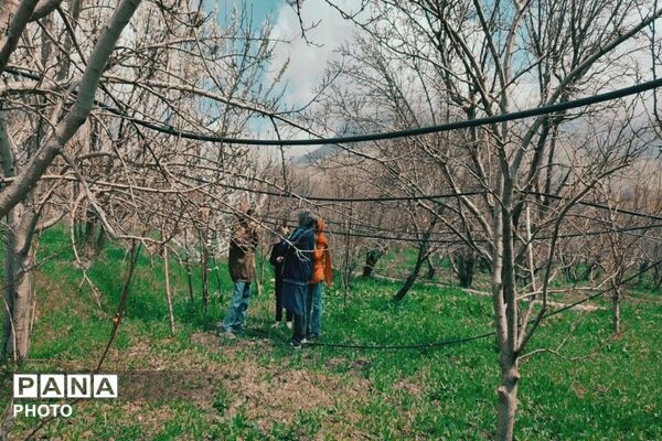 سیزده بدر روز طبیعت ۱۴۰۵در شهر بار نیشابور 