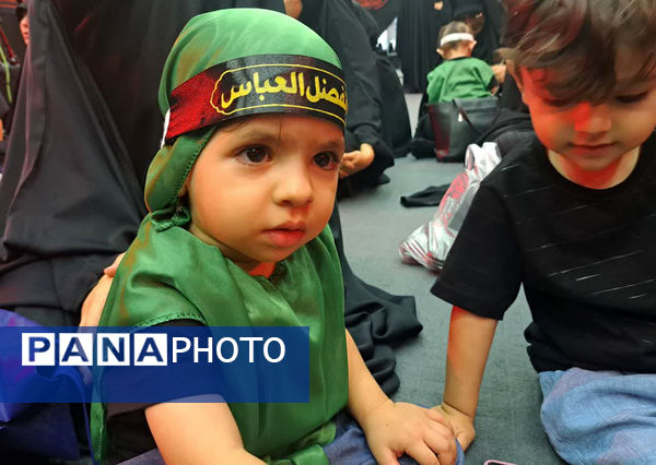 همایش شیرخوارگان حسینی(ع) در قم -3