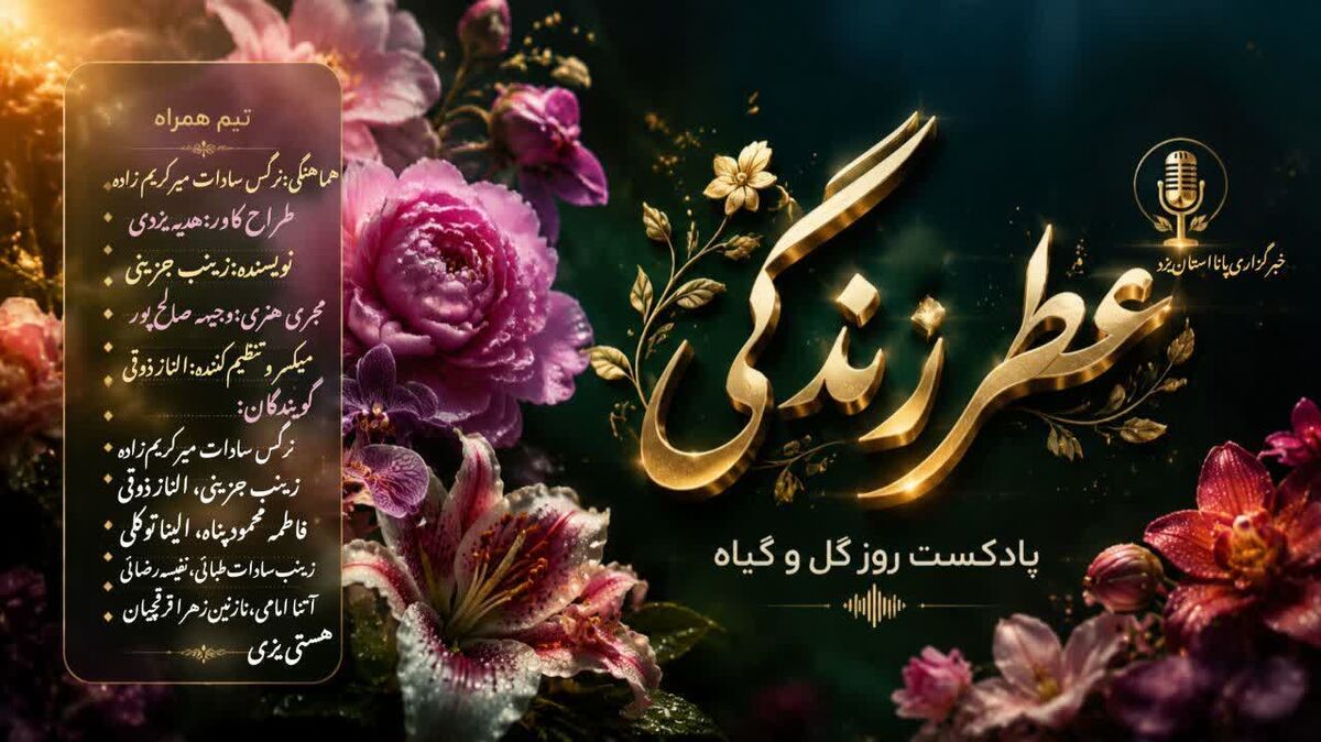 گیاهان، ساکت ترین و مهربان‌ترین هم‌اتاقی‌های دنیا هستند