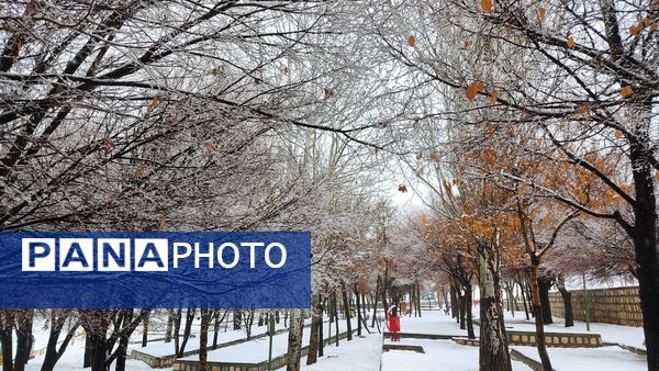 برف بی‌پایان، شهرستان بن را در آغوش سپیدی برد