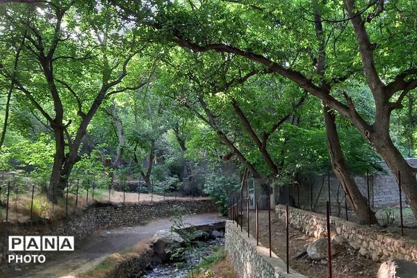 قاب‌هایی از آرامش در روستای ولیان