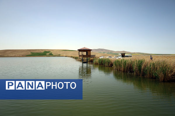 تور رسانه‌ای بازدید از تالاب‌های حوضه آبریز دریاچه ارومیه