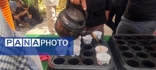 دسته عزاداری سالروز شهادت امام صادق(ع) در روستای ورجان قم