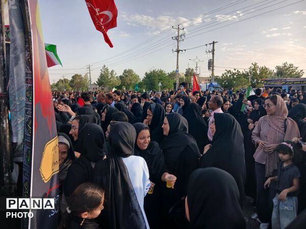 قدم هایی در راه سیدالشهدا