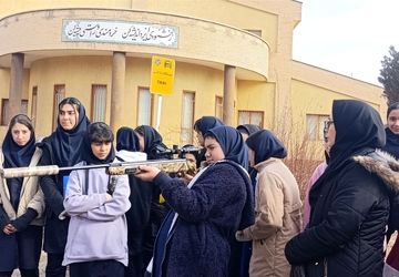 «تمشک» کام دختران زنجان را شیرین کرد